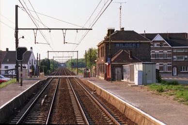 Wildert - i4906A.jpg